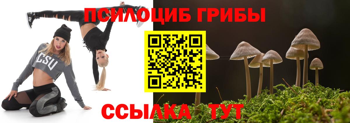 Сочи  Псилоцибиновые грибы Psilocybine cubensis  Вход с VPN 